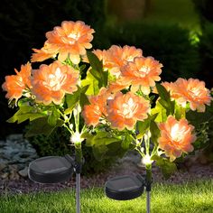 two solar powered flower lights in the grass with flowers growing out of it's sides