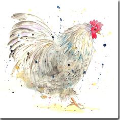 a watercolor painting of a rooster with spots on it's feathers and tail