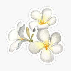 three white flowers with yellow centers on a white background stickers are shown in the shape of four petals