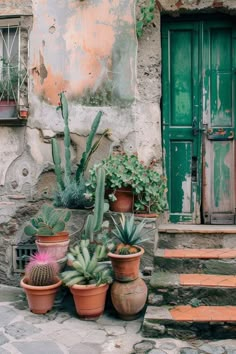 several potted plants sit on the steps in front of an old building with green doors