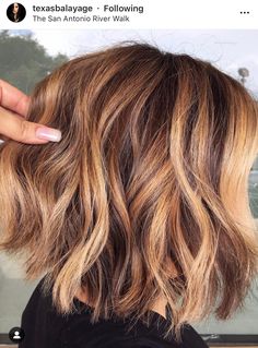 Carmel Blonde Short Hair, Caramel Hair Color Honey Golden Short Hair, Balayage On Layered Hair, Balayage Bob Brunette Caramel, Red Hair With Blonde Highlights Bob, Short Carmel Balayage Hair, Golden Brown Bob, Honey Balayage On Dark Hair Short, Golden Brown Bob Hair