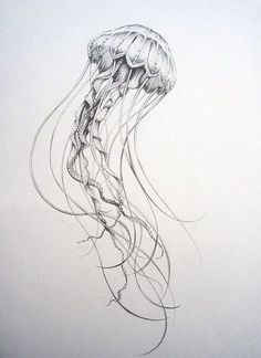 a drawing of a jellyfish in black and white