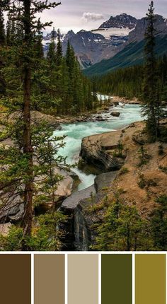 a river running through a forest filled with lots of green and brown trees next to tall mountains