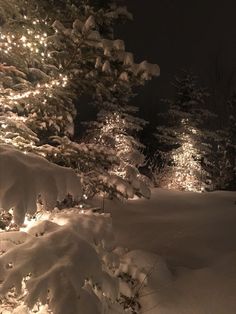 snow covered trees with lights in the background