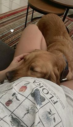 a woman laying on top of a bed next to a brown dog with its head on the pillow