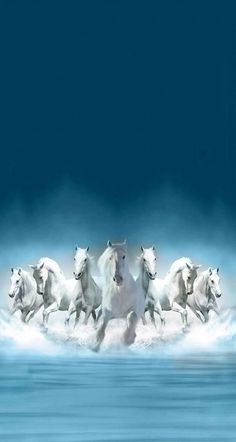 four white horses running in the water with their backs turned to the same direction as they gallop