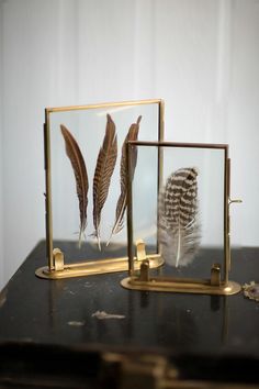 two framed pictures with feathers in them on a table