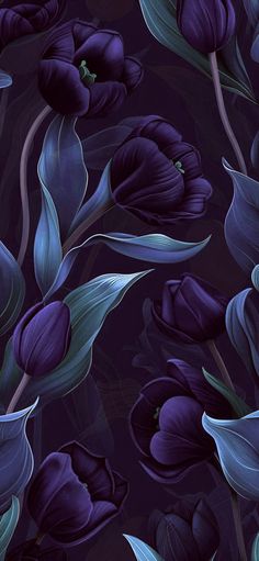 purple flowers with green leaves on a dark blue background seamless wallpaper design for walls