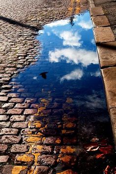 the sky and clouds are reflected in the water on the cobblestone road that runs through town