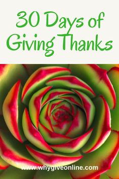 a green and red flower with the words 30 days of giving thanks