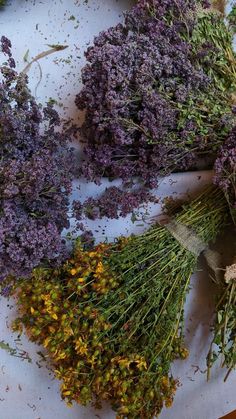 dried herbs are laid out on a cutting board