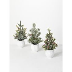 three small christmas trees in white ceramic pots