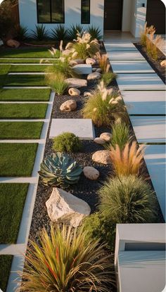 an outdoor garden with plants and rocks in the grass, along side a white house