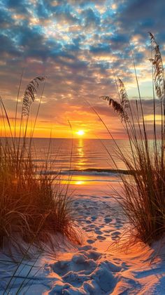 the sun is setting over the beach with sea oats