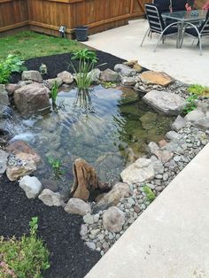 a small pond in the middle of a backyard