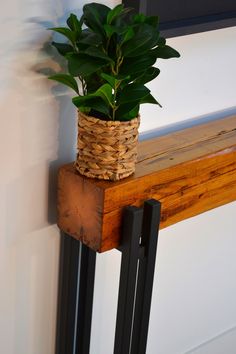 a potted plant sitting on top of a wooden shelf next to a white wall