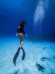 a woman in a black wetsuit diving under water with several fish around her,