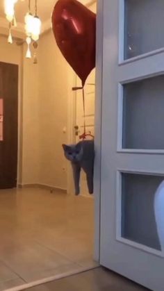 a cat hanging from a door with a heart shaped balloon attached to it