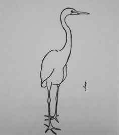 a black and white drawing of a bird standing on one leg with its head turned to the side