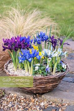 a basket filled with purple and yellow flowers on top of a stone floor next to tall grass