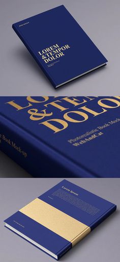 two blue and gold book covers on top of each other, with the same title