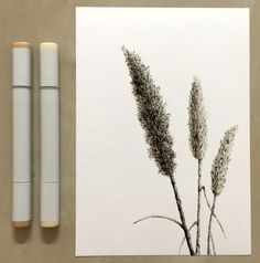 two pens are sitting next to a drawing of some plants on a piece of paper