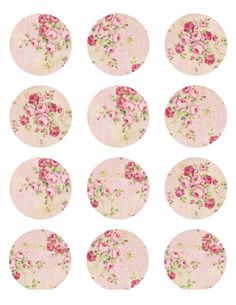 six pink flowers on blue and white paper circles with gold foil lettering in the center