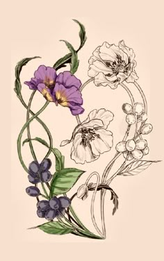 Lily Vintage Illustration, Lilac Flowers Tattoo Design, Fuschia Botanical Illustration, Art Nouveau Plants Illustration, Art Nouveau Violet Flower, Wolfsbane Flower Drawing, Hellebore Flower Drawing, Snapdragon Illustration, Iris Art Nouveau