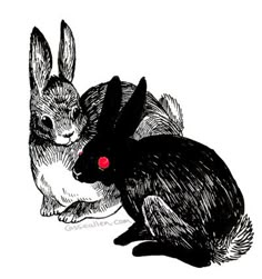 two rabbits sitting next to each other on top of a white surface with red eyes