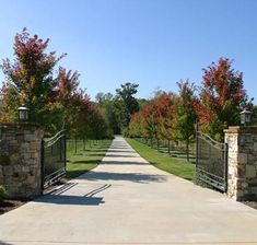 a gated driveway leading into a lush green field