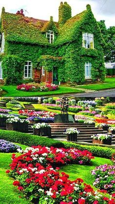 a large house covered in vines and flowers next to a lush green field with lots of red, white and pink flowers