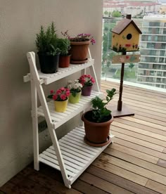 several potted plants are sitting on a shelf next to a bird house and window