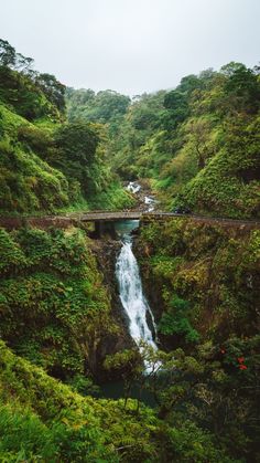 a bridge over a waterfall in the middle of a lush green forest with a river running under it