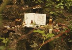 an open book sitting on top of a lush green hillside next to trees and plants