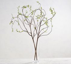 a glass vase with some branches in it