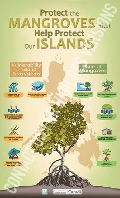 a poster with the words protect the mangroves, help protect our islands on it