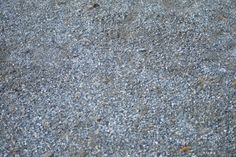 an orange and white bird is sitting on the ground with its head down, looking at something in the distance