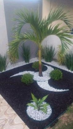 a small palm tree sitting in the middle of a garden