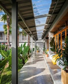 an outdoor covered walkway with plants and potted trees on either side, leading to the pool