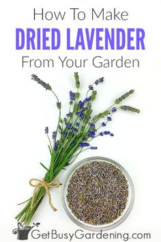 lavender flowers in a bowl with the words how to make dried lavender from your garden