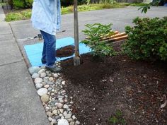 a woman standing next to a pile of dirt near a tree and some rocks on the ground