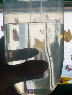 a hand holding a glass filled with water and butterflies on the window sill behind it