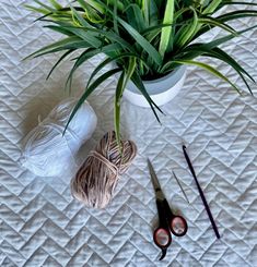 some yarn and scissors on a bed with a plant in the corner next to it