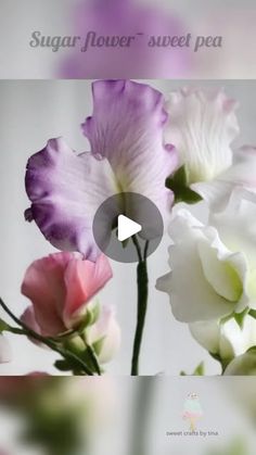 the video shows how to make sugar flower - sweet pea