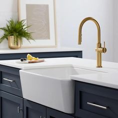 a white sink sitting under a faucet next to a green plant in a bathroom