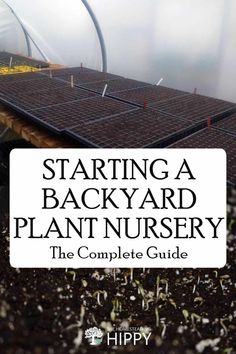 starting a backyard plant nursery the complete guide