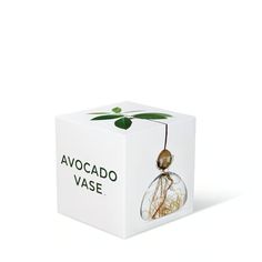 Home Gifts | goop Avocado Tree, Corporate Gifts, Home Gifts, Gift Guide, Glass Vase, Avocado, Decorative Boxes, Vase, Glass