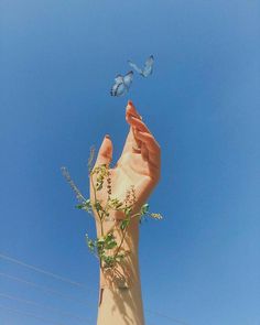 a person's hand reaching up into the air to catch a butterfly flying above