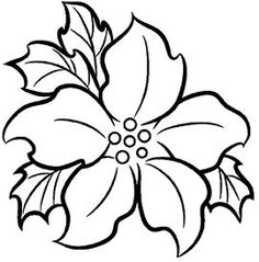 a black and white drawing of a poinsetti