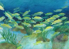 an underwater scene with many small yellow fish